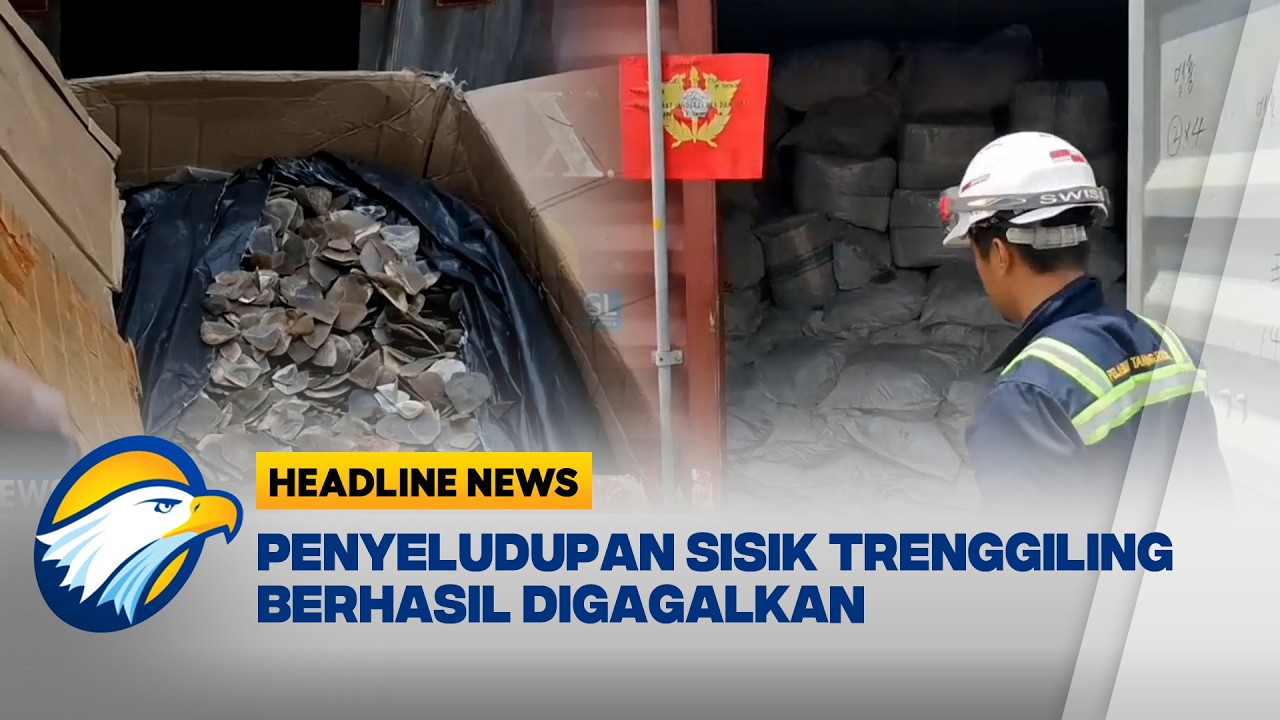 [HEADLINE NEWS, 05/03] Penampakan Kontainer Berisi Sisik Trenggiling Digagalkan Bea Cukai