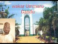 Wakar Ummaru Gandu