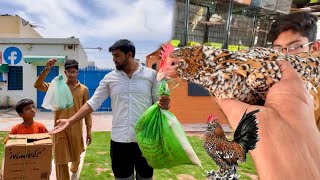 Boht Khuch Farm House Say Chala Gea 😌 Milli Flowers Ka Pair Gift Mila 😍