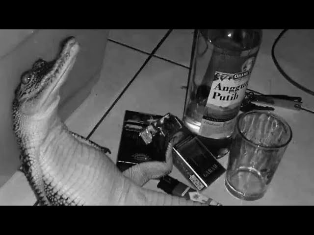 Duster - Me And The Birds (Super Slowed & Reverb)