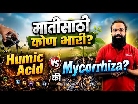 Humic Acid आणि Mycorrhiza एकत्र वापरावे का? | तुमच्या जमिनीसाठी योग्य काय? | Root Growth | AgroStar