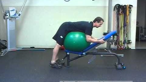 FreeFitnessVideos.com:  Swiss Ball Reverse Hyperextension