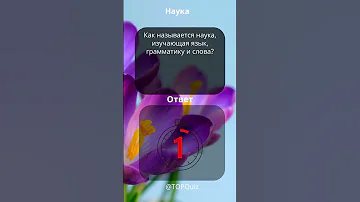 Как называется наука, изучающая язык, грамматику и слова