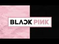 اغنية بلاكبينك How You Like That بدون موسيقى 