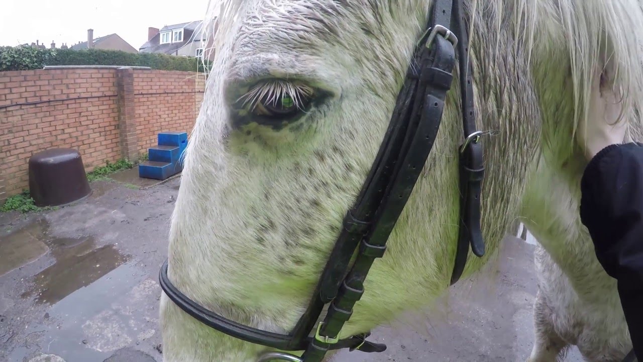 GoPro Horse Riding Out in the Rain with Lola YouTube