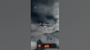 القارىء وديع اليمني🌿||تلاوه رائعه||راحــه نفسه ستوريات|| قرآن كريم Quran💓