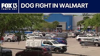 Dog Fight Breaks Out Inside Palm Harbor Walmart, 5 People Injured
