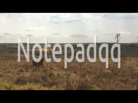 How to install Notepadqq on Zorin OS 16