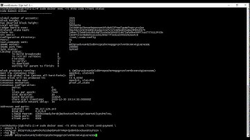 Community Challenge: Mina Testworld Mini Vlog.Transactions.