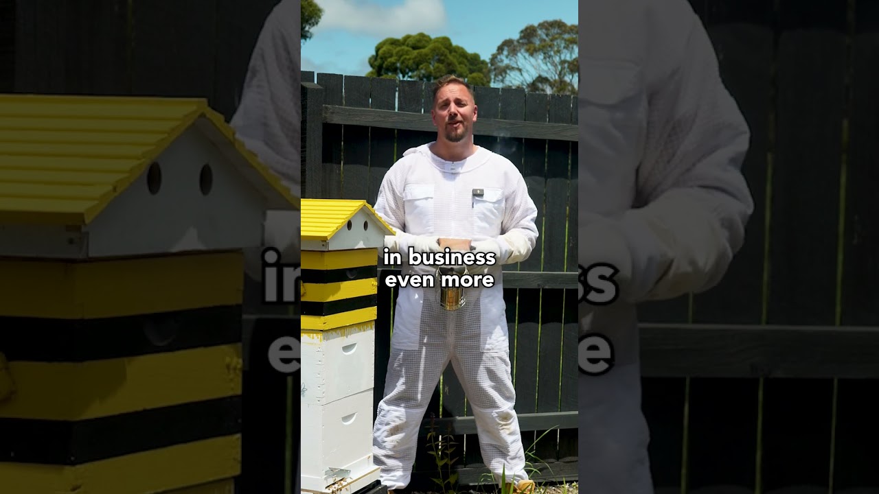 Learning From Your Mistakes