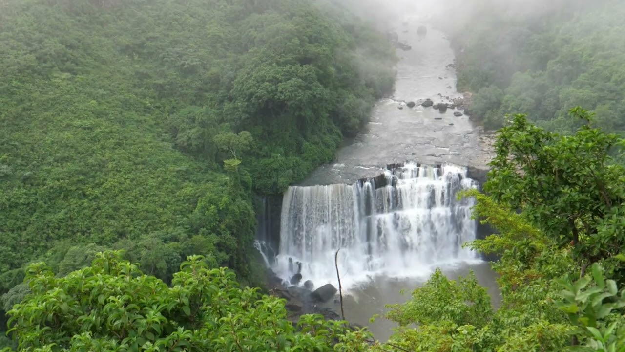 Beautiful nature videos