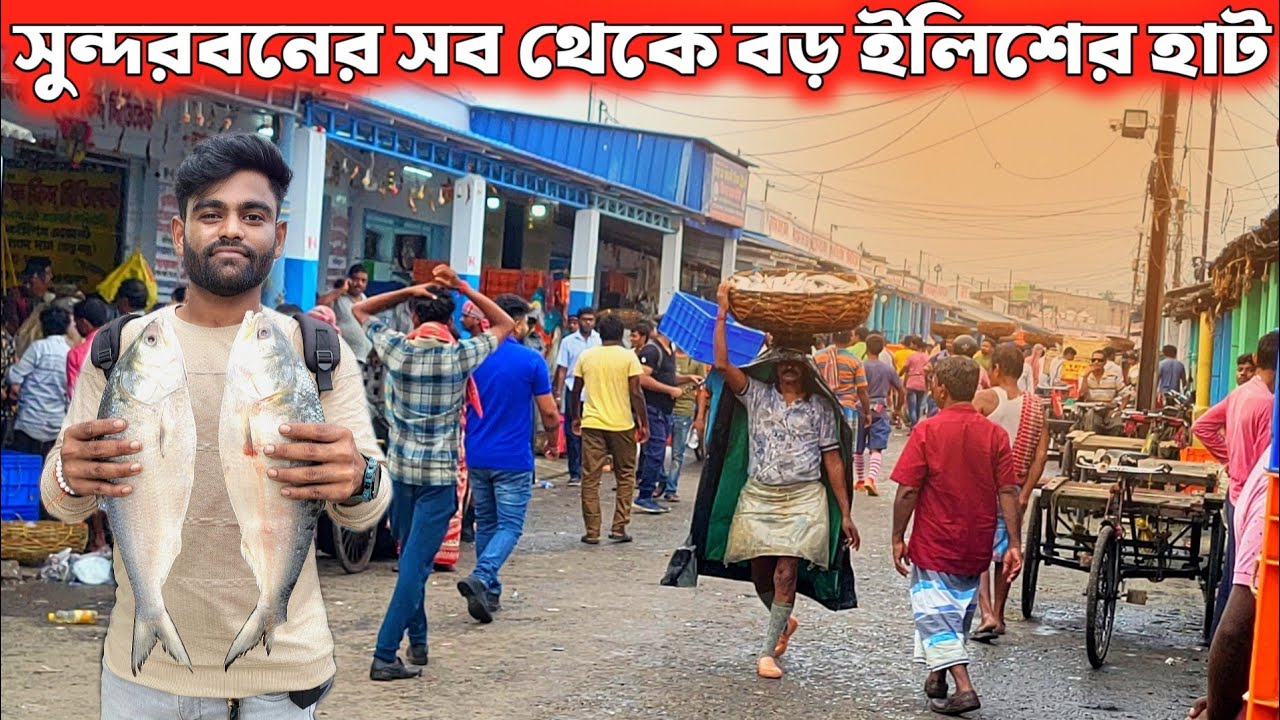 মাত্র 500 টাকায় ইলিশ 😱 সুন্দরবন বাজারে পশ্চিমবঙ্গের সবচেয়ে সস্তার ইলিশ মাছ | Sundarban Fish Market