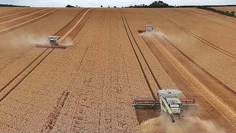 HARVEST 2025 | Cambridgeshire / Bedfordshire Border | 4 Combines On One Field | Claass Army!