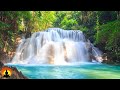 🔴 Study Music 24/7, Meditation Music, Concentration Music, Focus, Relaxing Music, Calm Music, Study