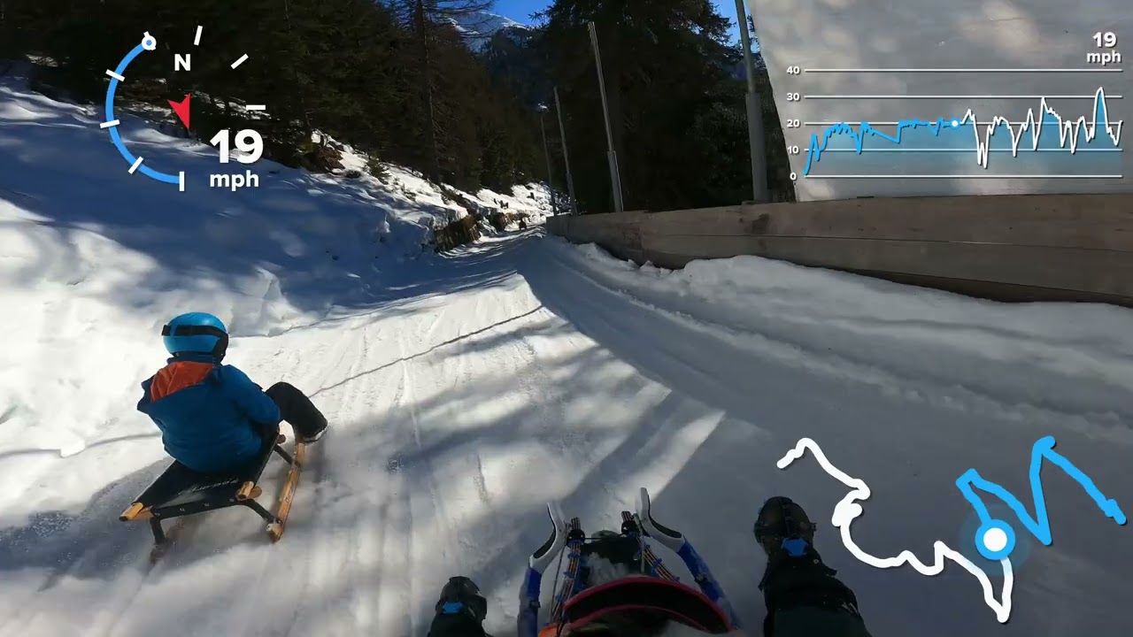 Rodeln: Dog Sledding Darlux