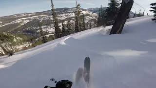 Cat skiing at Fernie BC