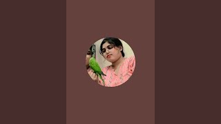 You will get parrot related videos on this channel. So please watch the videos.