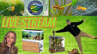 All Our New Projects | Steenfott Aquatics Live