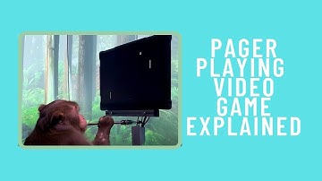 Pager monkey playing video game explained
