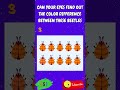 Are You a Color Expert? Test Your Skills with Beetles! #quiz #chllenge #test #viral #shorts #fyp