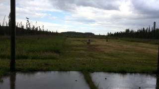 Firing A 45-70 Rifle 2Of2