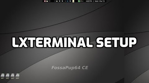lxterminal setup in puppylinux