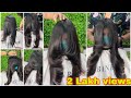 How to : Forward graduation Hair Cut/Front layer hair cut/feather hair cut/ step by step/tutorial.