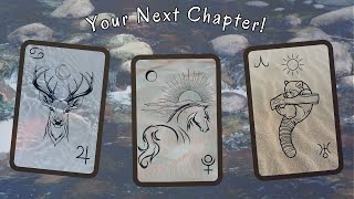 Your Next Chapter 👀😍 Pick A Card🔮 Timeless Tarot Reading