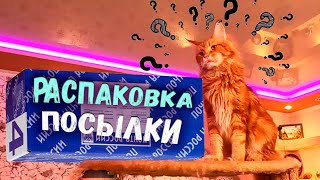 Распаковка посылки, лучший бюджетный 3d принтер.