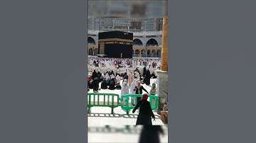 Islamic beautiful #سورة_الإخلاص #ikhlas #makkah #beautiful #makkah