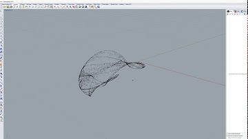 flock simulation