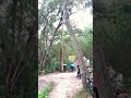 #mtb #mountainbike #trending