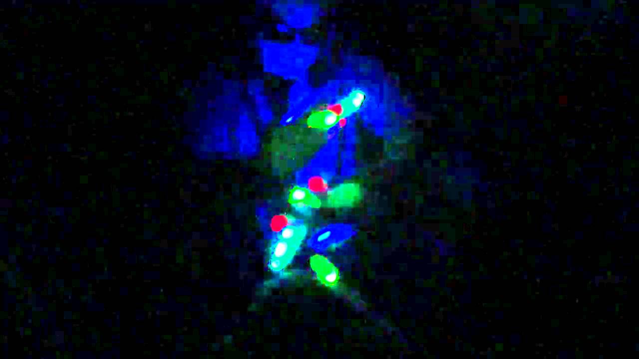 (Orbitlightshow.com) [RBG] Hero Lightshow I want to go to Radius!!!