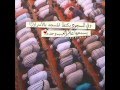 يا من بحالي مسعود كرتس 