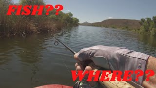 10 SCIENTIFIC REASONS You CAN"T Catch Fish- An In Depth Study