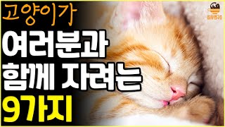 고양이가 당신과 함께 자는 9가지 과학적 이유  | 고양이 언어 | 고양이 행동 | 고양이 수면 |