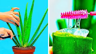 33 MÜKEMMEL ALOE VERA HİLESİ