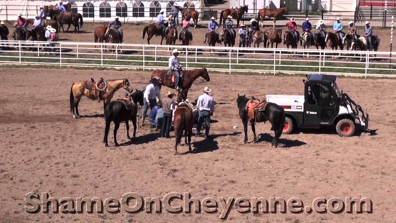 horseshoe bend Another Calf Victim of the 2012 Cheyenne Rodeo