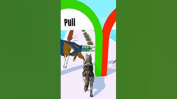 Doggy Run Gameplay Walkthrough 🐕🥰 | All levels | android, iOS mobile | New update #shorts games !