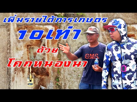วิธีเพิ่มรายได้ทางการเกษตร 10 เท่า!! ด้วย “โคกหนองนา”