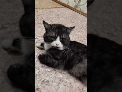 Хуй бумажный - YouTube
