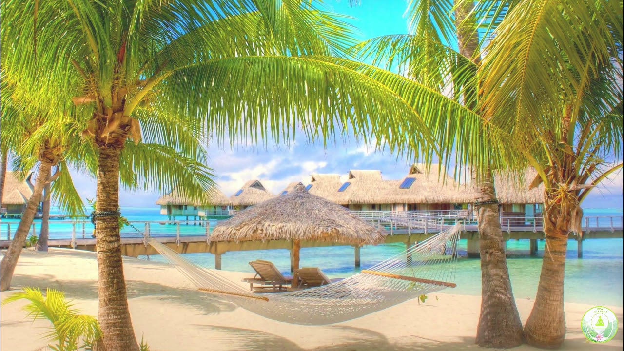 Sound of the sea, paradise beach in Tahiti, coconut trees, relaxation ...