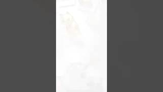 Japenes Candi 50 Milli