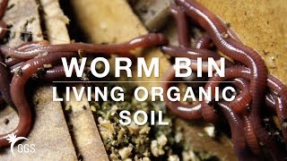 Make the BEST WORM CASTINGS (Low Cost and Quick) DIY: Living Organic Vermicompost Bin in a Smart Pot