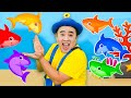 Colorful Baby Shark 🦈 | Learn Colors | Tigi Boo Kids Songs