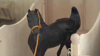 How to make breyer horse stuff 