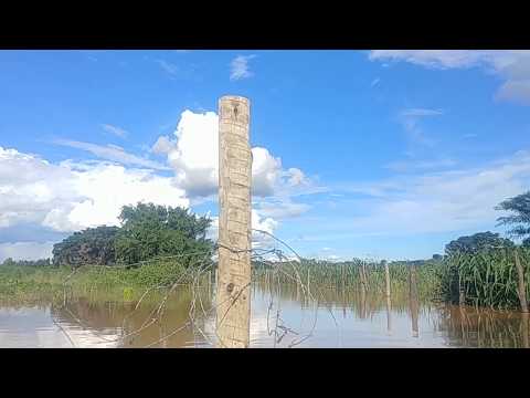 O Velho Chico 2020 - parte 01