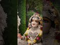 Sargam janu na sur pehchanu na🙏👏🏻🤲🏻🪷🪷🪷🥀🥀🥀🌿🌿🌿🌹🌹🌹🪔🪔🪔🪔♥️♥️♥️♥️