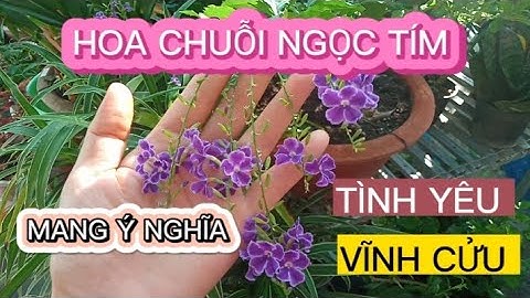 #.Chuỗi Ngọc Hoa Tím Mang Ý Nghĩa Tình Yêu Vĩnh Cửu .