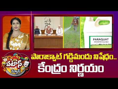 పారాక్వాట్‌ గడ్డిమందు నిషేధం.. కేంద్రం నిర్ణయం | Nationwide Ban on Paraquat | Patas News | 10TV - 10TVNEWSTELUGU